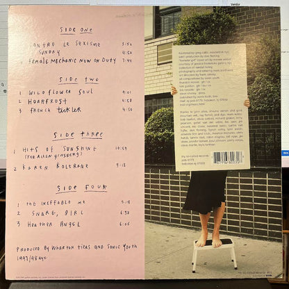 A Thousand Leaves (2xVINYL) | Near Mint (NM) Excellent (EX) - PUNK / USED *NEAR MINT*