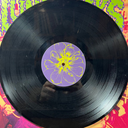 Babysitters On Acid (VINYL) | Very Good (VG) Very Good Plus Plus (VG++) - PUNK / USED *VERY GOOD*