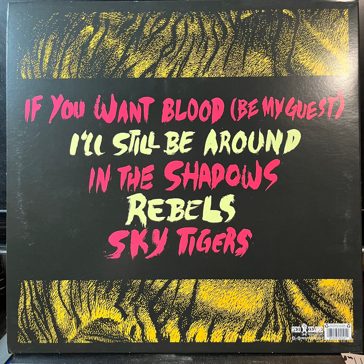 Red City Radio - Sky Tigers (VINYL LP) | USED Near Mint (NM or M-) Near Mint (NM or M-) PUNK