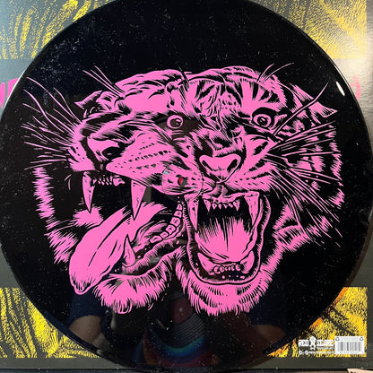 Red City Radio - Sky Tigers (VINYL LP) | USED Near Mint (NM or M-) Near Mint (NM or M-) PUNK