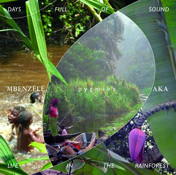 Days Full Of Sound - Life In The Rainforest |