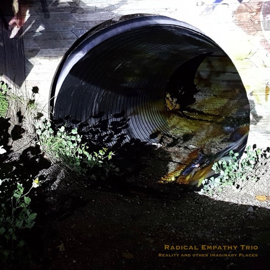 Reality and Other Imaginary Places |
