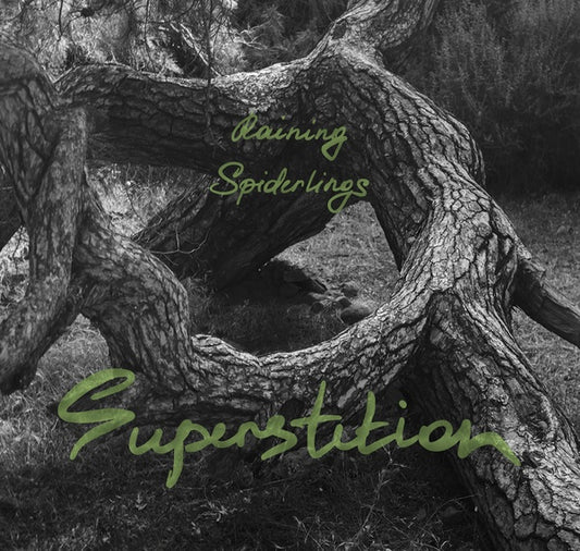 Superstition |
