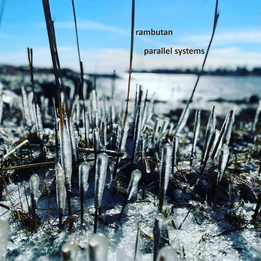 Parallel Systems |