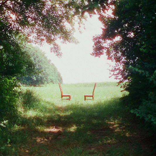 Singin' To An Empty Chair (Indie Exclusive, Green And Brown Marble Vinyl) |