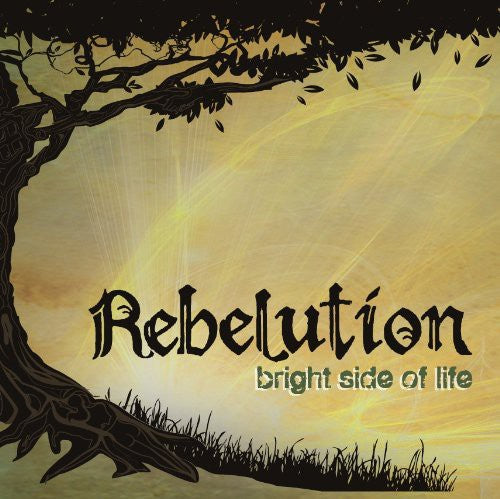 Bright Side of Life (MP3 Download) |