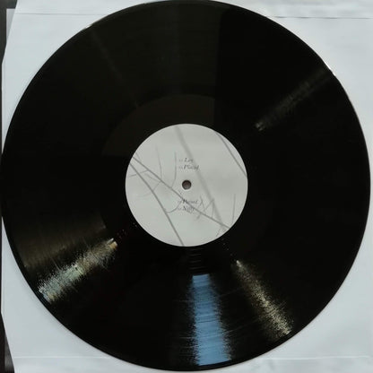 Placid | Mint (M) Near Mint (NM) - TECHNO *NEW*