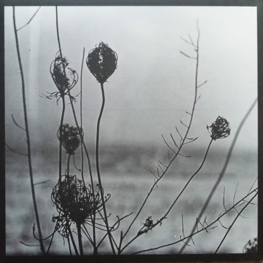 Placid | Mint (M) Near Mint (NM) - TECHNO *NEW*
