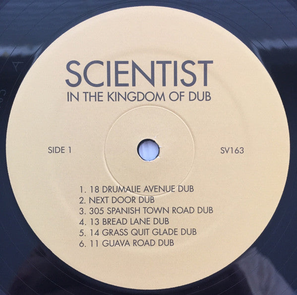 In The Kingdom Of Dub | Mint (M) Mint (M)