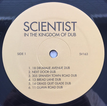 In The Kingdom Of Dub | Mint (M) Mint (M)