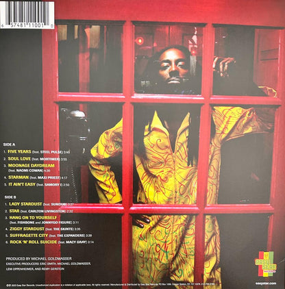 Ziggy Stardub (VINYL) | Near Mint (NM) Near Mint (NM) - REGGAE / USED *NEAR MINT*