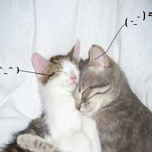 I Love You So! |