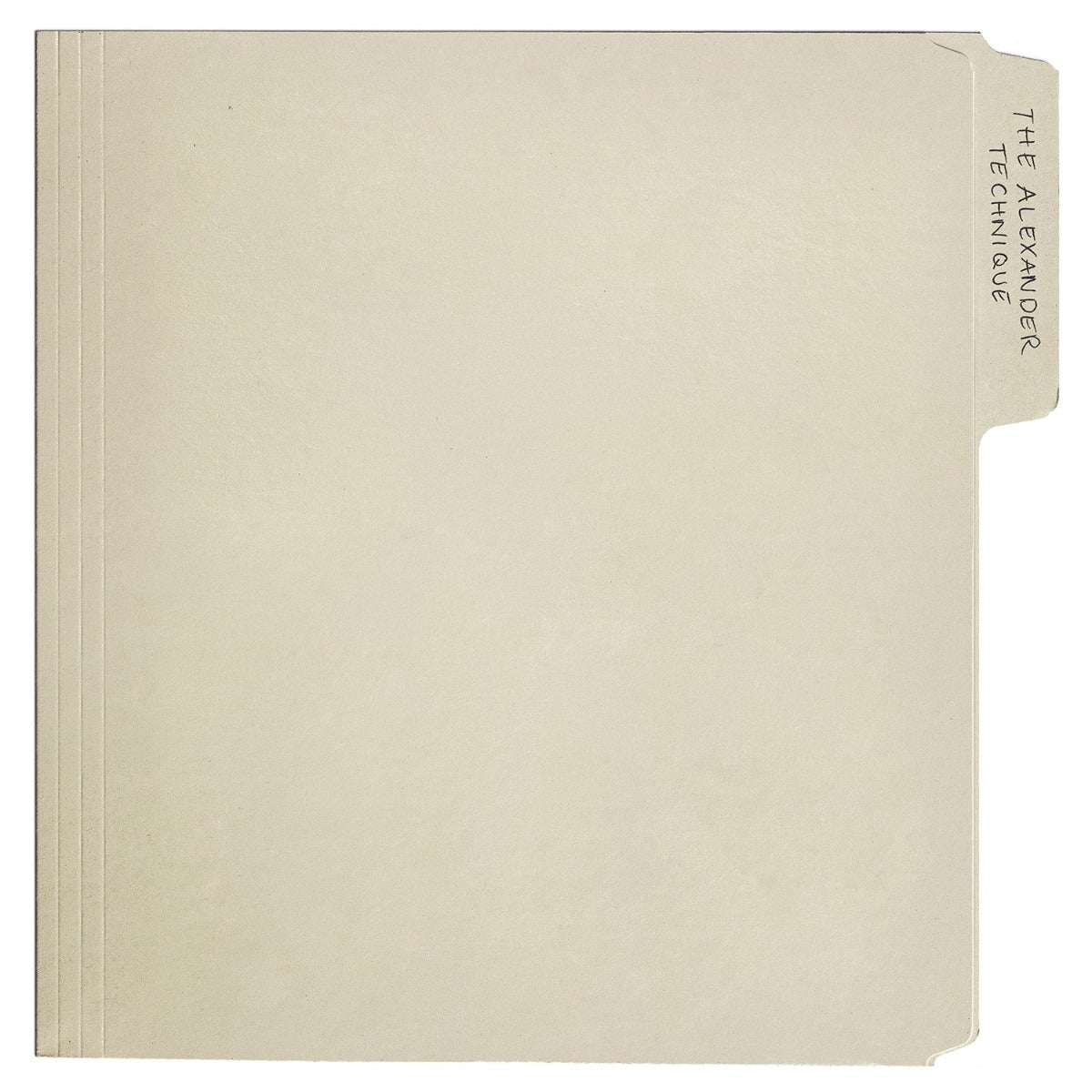 The Alexander Technique [Explicit Content] (Indie Exclusive, Colored Vinyl, Smores White, Gatefold LP Jacket) (2 Lp's) | Mint (M) Mint (M) - ALT/INDIE *SEALED/COLOR*
