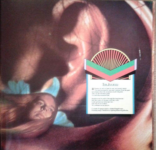 Journey To The Centre Of The Earth | Very Good Plus (VG+) Very Good (VG) - ROCK / USED *VERY GOOD+*