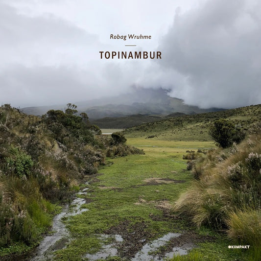 Robag Wruhme - Topinambur |