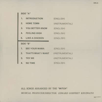 Introduction (BLOOD RED VINYL) | Mint (M) Mint (M) - ROCK/FUNK *SEALED/COLOR*