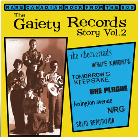 The Gaiety Record Story Vol. 2 (VINYL) | Mint (M) Mint (M) - ROCK/GARAGE *NEW*