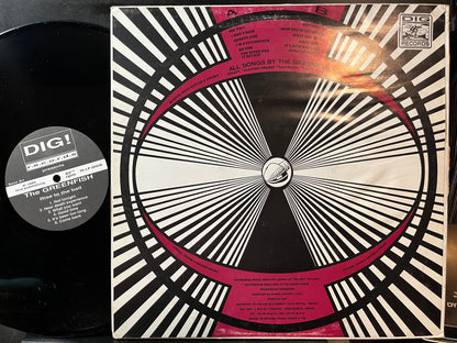Greenfish - Rise To The Bait (VINYL LP) | Near Mint (NM or M-) Very Good Plus Plus (VG++) - ROCK/GARAGE / USED *NEAR MINT*