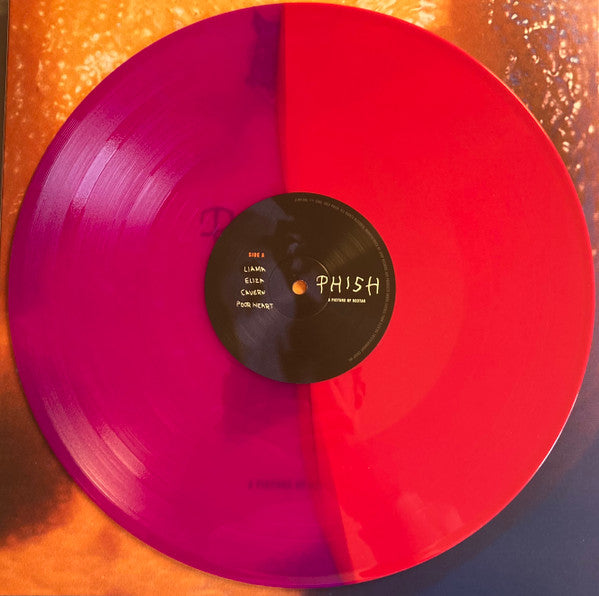 A Picture Of Nectar (B&M EXCLUSIVE: GRAPE APPLE PIE VINYL) | Mint (M) Mint (M) - ROCK *SEALED/COLOR*