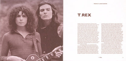 T. Rex (COLOR VINYL / VMP) | Mint (M) Mint (M) - ROCK *NEW/COLOR*