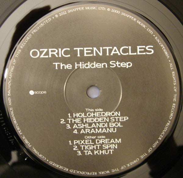 The Hidden Step (VINYL) | Mint (M) Mint (M) - ROCK / NEW *MINT*