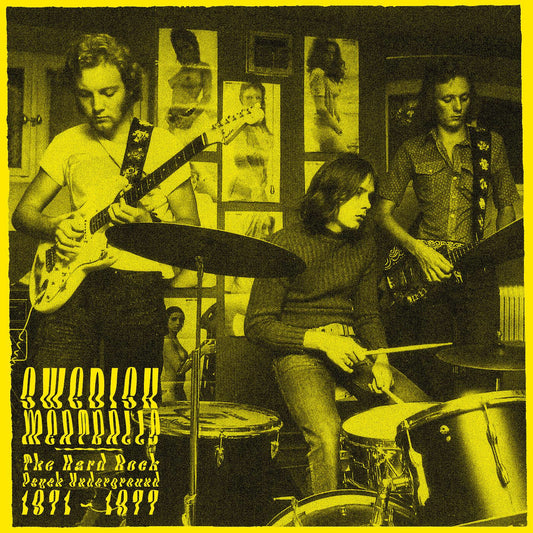 Various Artists - Swedish Meatballs - The Psychedelic Hard Rock Underground 1971-1977 | - ROCK *NEW*