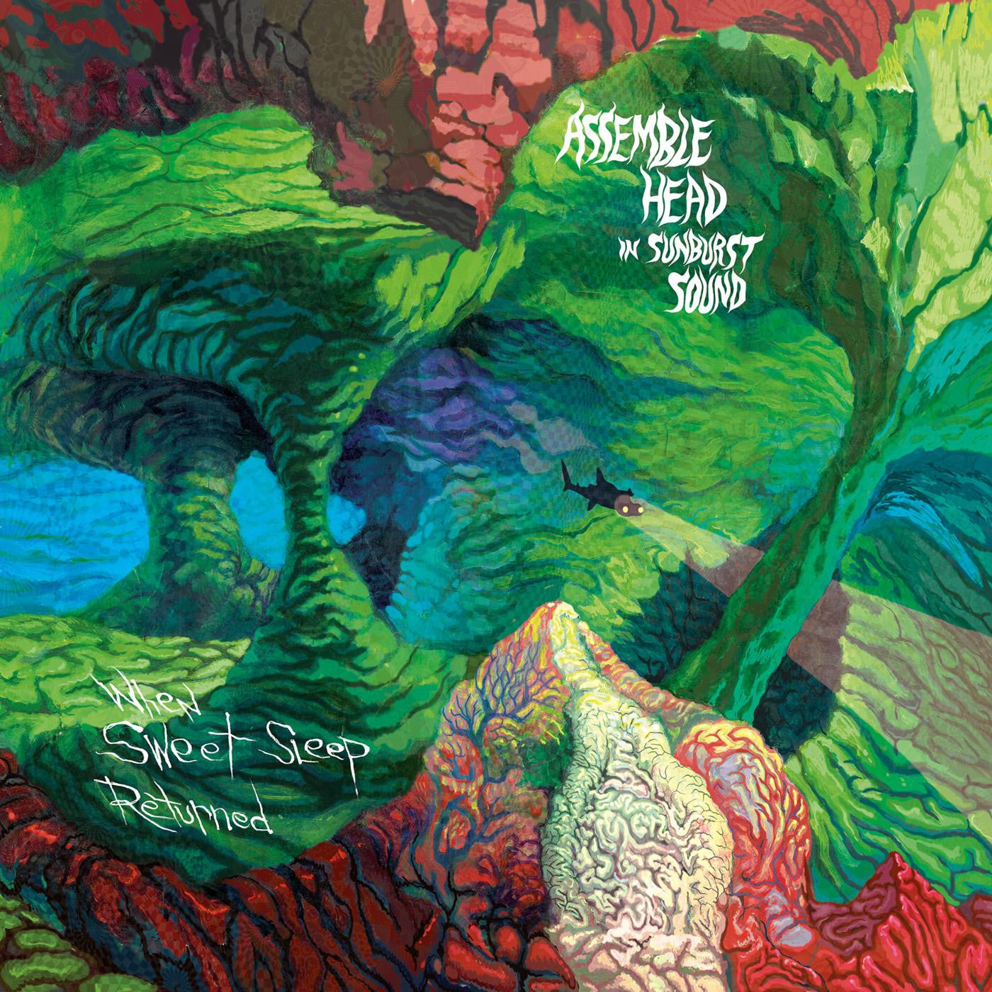Assemble Head In Sunburst Sound - When Sweet Sleep Returned (CD) | - ROCK *NEW*