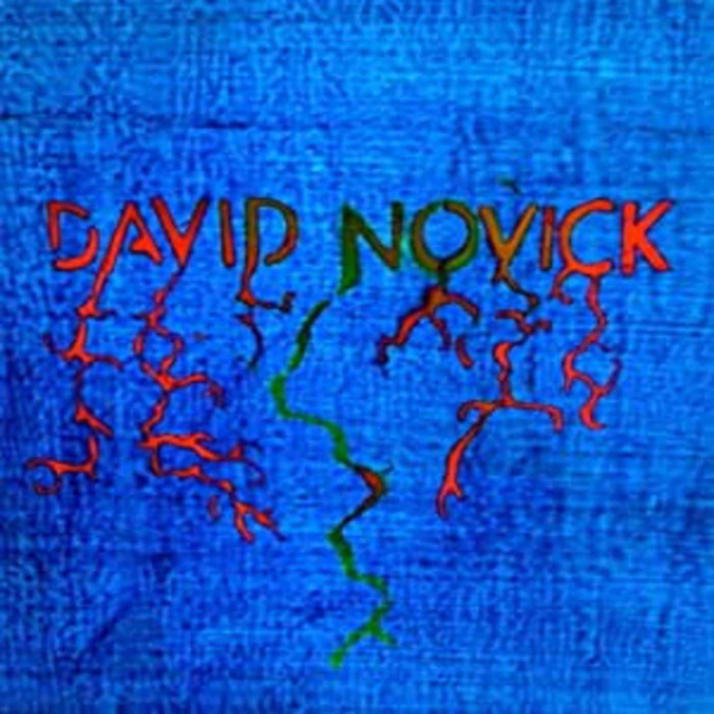 Novick, David - David Novick (Vinyl) | Mint (M) Mint (M) - ROCK *NEW*
