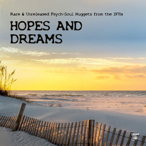 Various Artists - Hopes And Dreams: Rare & Unreleased Psych-Soul Nuggets from the 1970s (2xVINYL) | - ROCK *NEW*