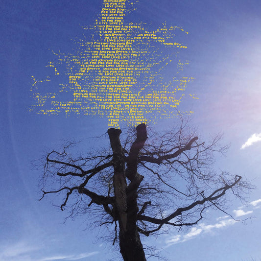 Sadier, Laetitia - Rooting For Love | - ROCK *NEW*
