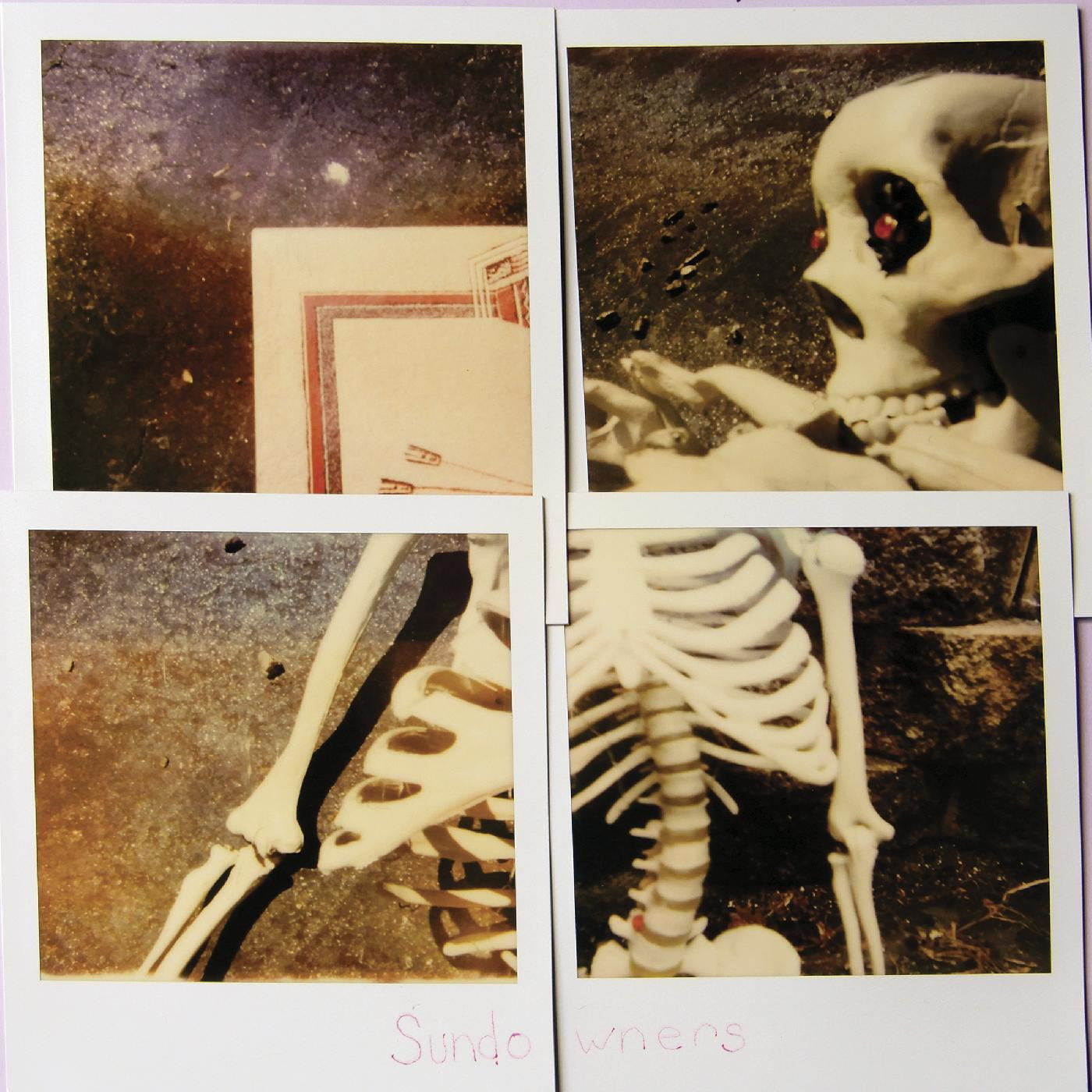 Sundowners, The - Ancient Cares (Vinyl) | Mint (M) Mint (M) - ROCK *NEW*