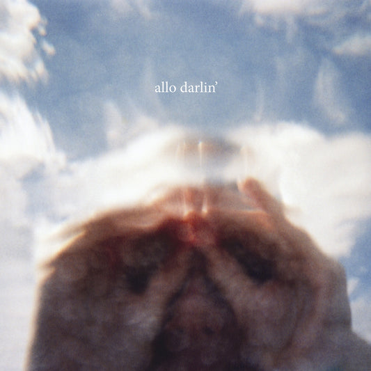 Allo Darlin' - Allo Darlin' (CD) | Mint (M) Mint (M) - ROCK *NEW*