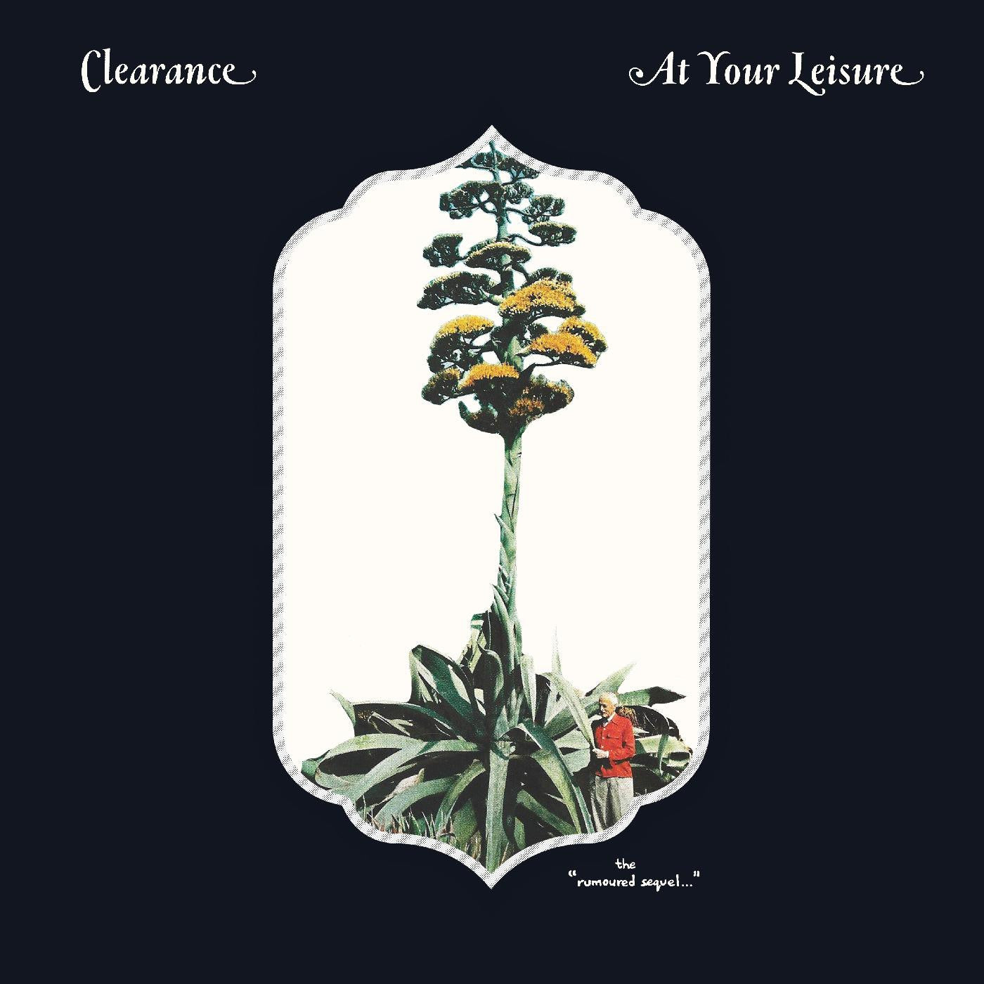 Clearance - At Your Leisure (Vinyl) | - ROCK *NEW*