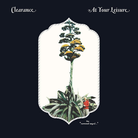 Clearance - At Your Leisure (Vinyl) | - ROCK *NEW*