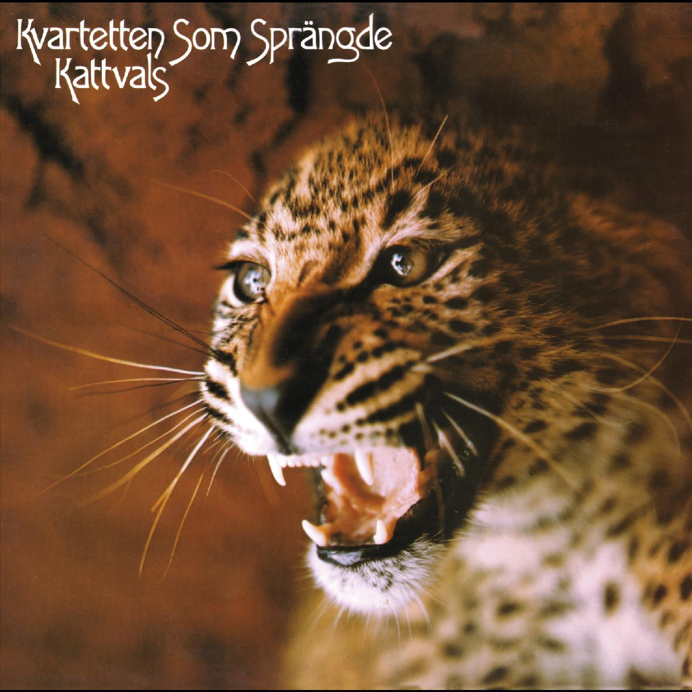 Kvartetten som sprängde - Kattvals (DELUXE EDITION, PSYCHEDELIC SPLATTER VINYL) (Vinyl) | - ROCK *NEW*