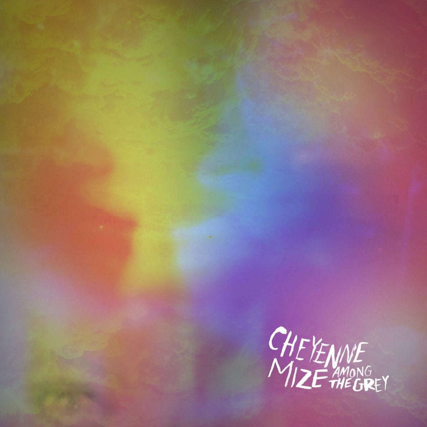 Mize, Cheyenne - Among The Grey (CD) | - ROCK *NEW*