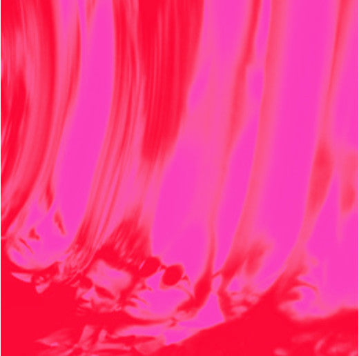 Ty Segall - Love Fuzzz (VINYL LP) | NEW - ROCK *NEW*