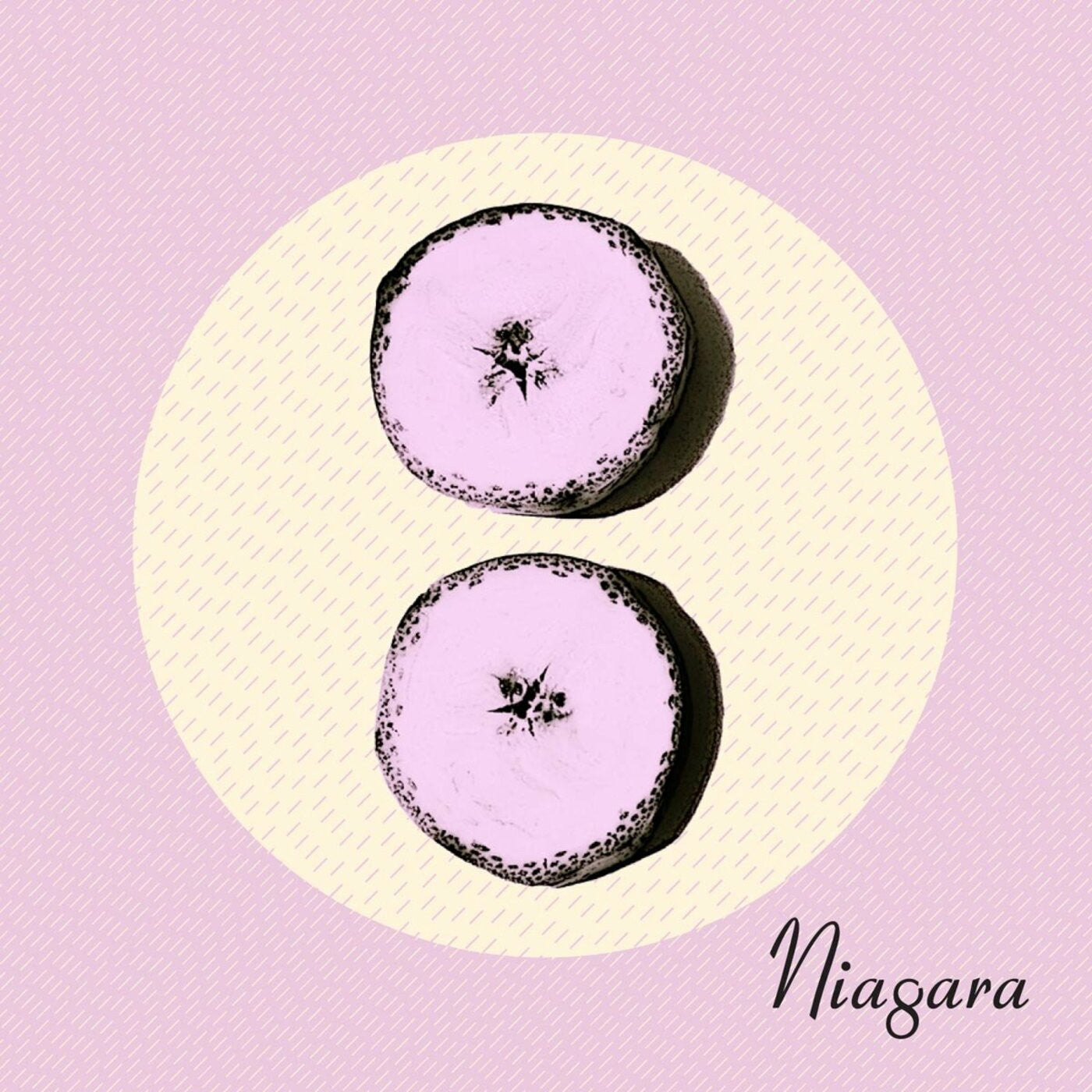 Niagara - Otto (CD) | - ROCK *NEW*