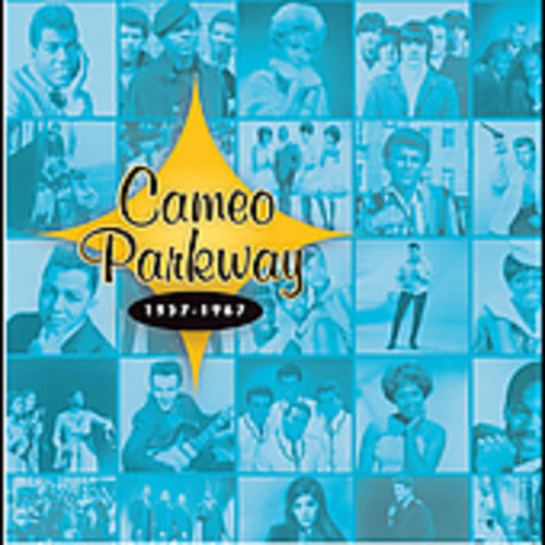 Various - Cameo Parkway Story (VINYL 4xLP) | NEW - ROCK *NEW*