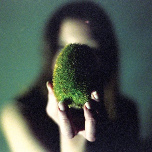 Circuit des Yeux - In Plain Speech (CD) | Mint Mint - ROCK *NEW*