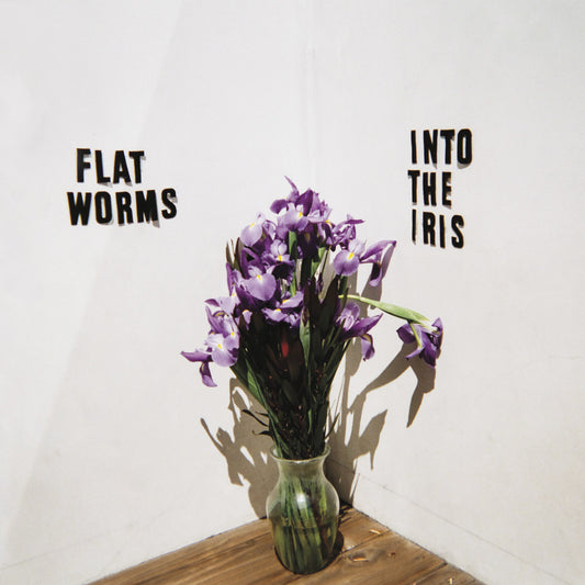 Flat Worms - Into The Iris | - ROCK *NEW*