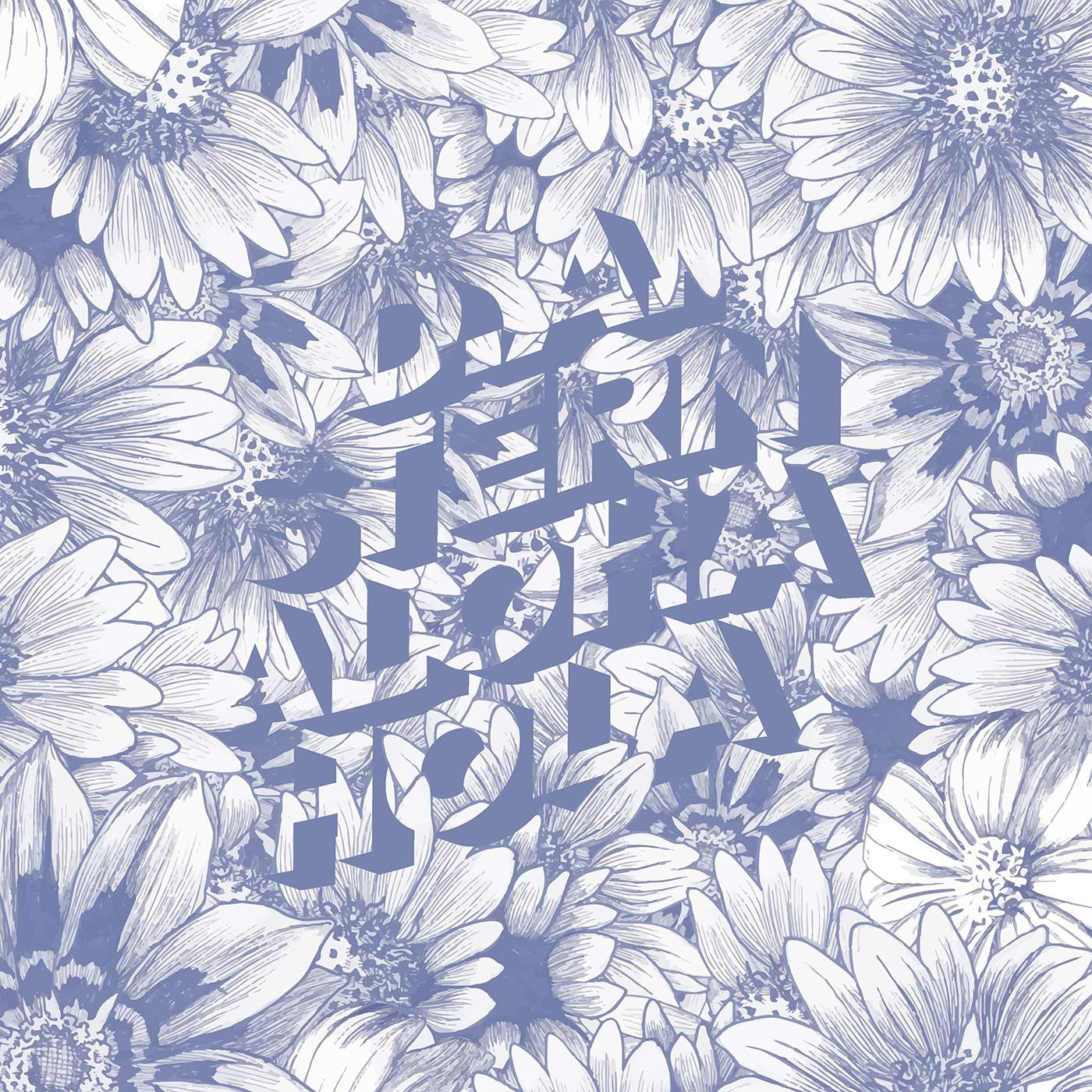 Stern, D.A. - Aloha Hola (CD) | Mint Mint - ROCK *NEW*