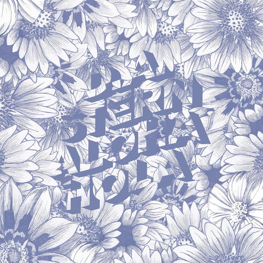 Stern, D.A. - Aloha Hola (CD) | Mint Mint - ROCK *NEW*