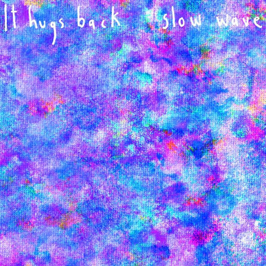 It Hugs Back - Slow Wave | - ROCK *NEW*