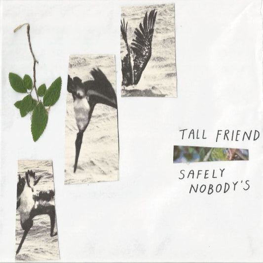 Tall Friend - Safely Nobody's | - ROCK *NEW*