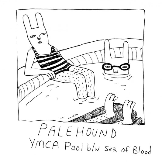 Palehound - YMCA Pool | - ROCK *NEW*