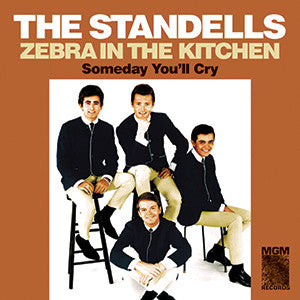 Standells, The - Zebra in the Kitchen / Someday You'll Cry | - ROCK *NEW*