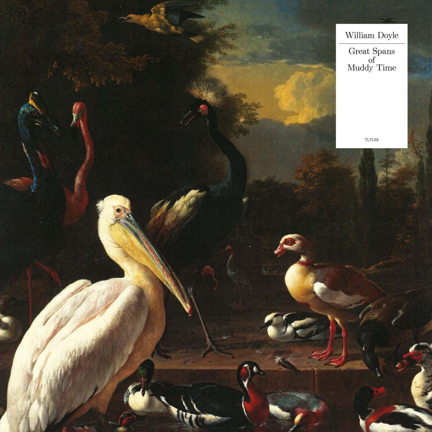 Doyle, William - Great Spans Of Muddy Time (WHITE VINYL) | Mint (M) Mint (M) - ROCK *NEW*