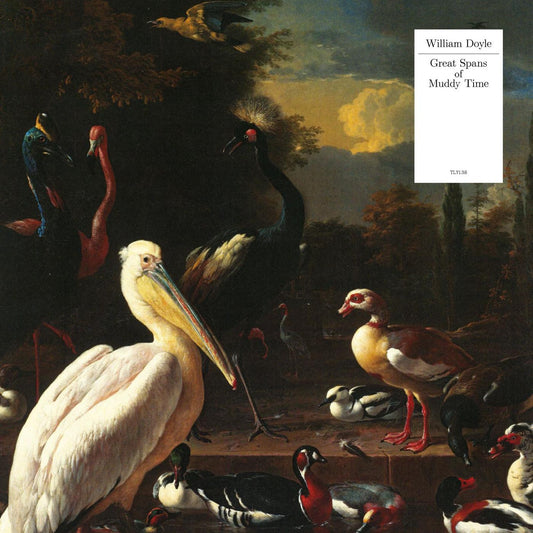 Doyle, William - Great Spans Of Muddy Time (WHITE VINYL) | Mint (M) Mint (M) - ROCK *NEW*
