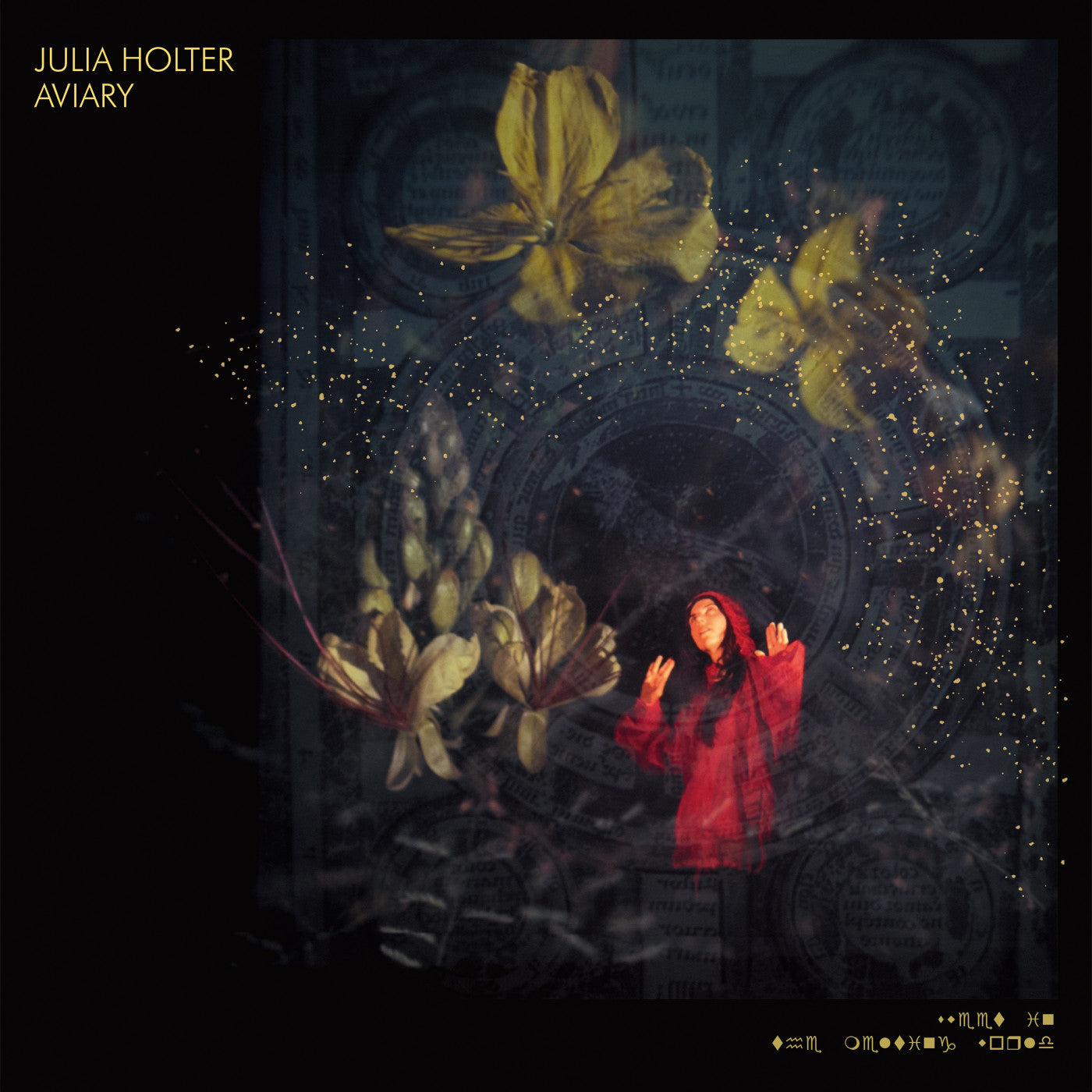 Holter, Julia - Aviary (CD) | Mint Mint - ROCK *NEW*
